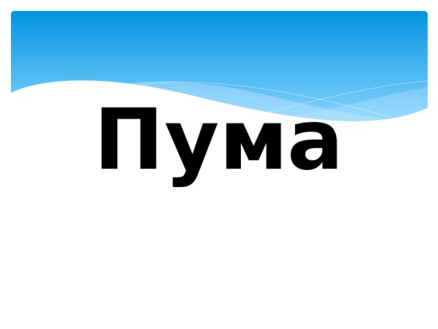 Пума 