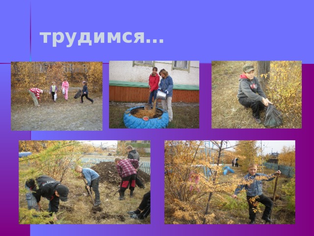трудимся… 