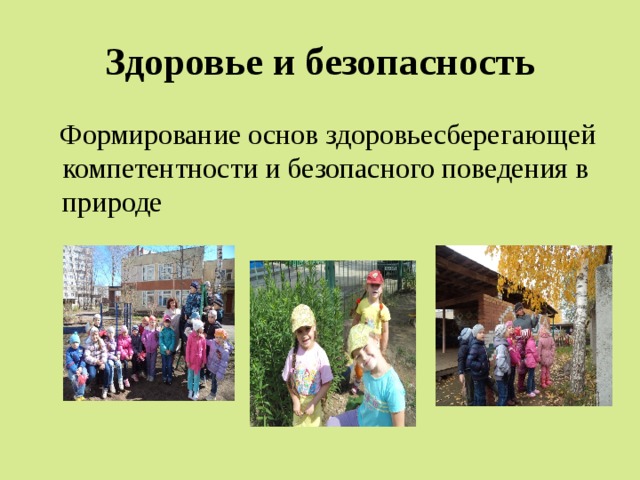 Здоровье и безопасность  Формирование основ здоровьесберегающей компетентности и безопасного поведения в природе 