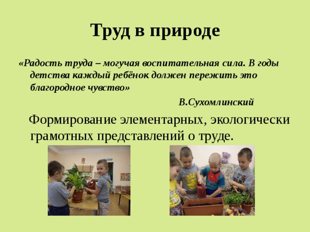 Труд в природе «Радость труда – могучая воспитательная сила. В годы детства каждый ребёнок должен пережить это благородное чувство»  В.Сухомлинский  Формирование элементарных, экологически грамотных представлений о труде. 