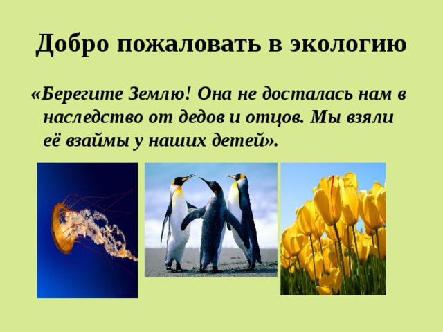Добро пожаловать в экологию  «Берегите Землю! Она не досталась нам в наследство от дедов и отцов. Мы взяли её взаймы у наших детей». 