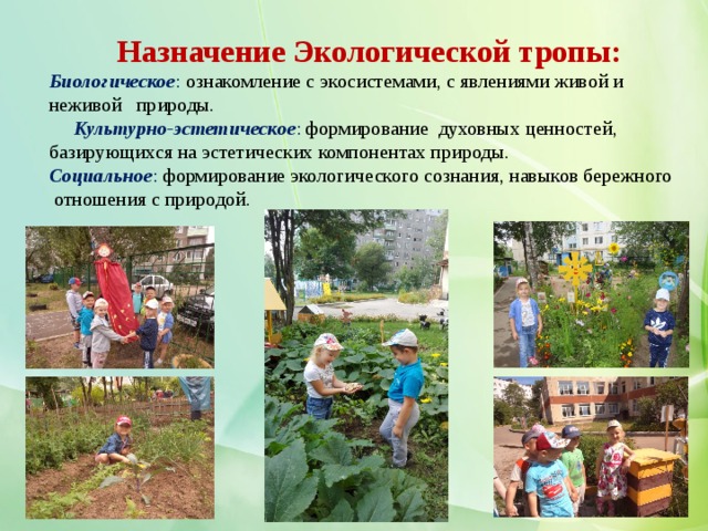   Назначение Экологической тропы:  Биологическое : ознакомление с экосистемами, с явлениями живой и неживой природы. Культурно-эстетическое : формирование духовных ценностей, базирующихся на эстетических компонентах природы.  Социальное : формирование экологического сознания, навыков бережного отношения с природой.   