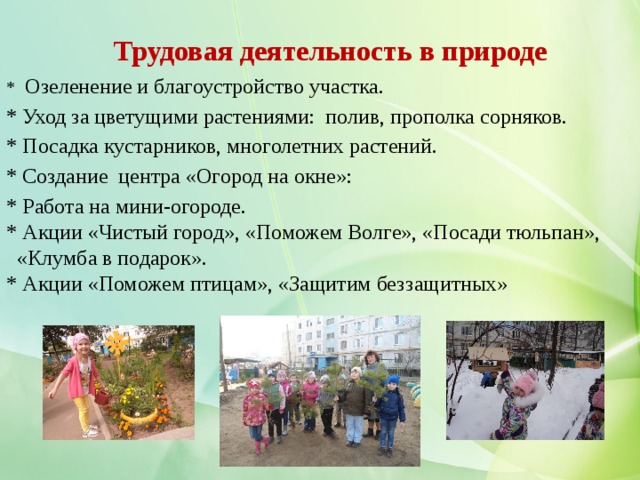  Трудовая деятельность в природе  * Озеленение и благоустройство участка. * Уход за цветущими растениями: полив, прополка сорняков. * Посадка кустарников, многолетних растений. * Создание центра «Огород на окне»: * Работа на мини-огороде. * Акции «Чистый город», «Поможем Волге», «Посади тюльпан»,  «Клумба в подарок». * Акции «Поможем птицам», «Защитим беззащитных»  