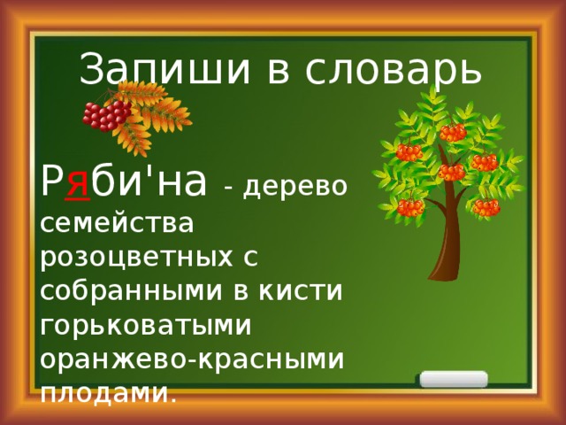 Запиши в словарь Р я би'на  - дерево семейства розоцветных с собранными в кисти горьковатыми оранжево-красными плодами.  