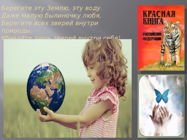 Берегите эту Землю, эту воду.  Даже малую былиночку любя,  Берегите всех зверей внутри природы,  Убивайте лишь зверей внутри себя!  
