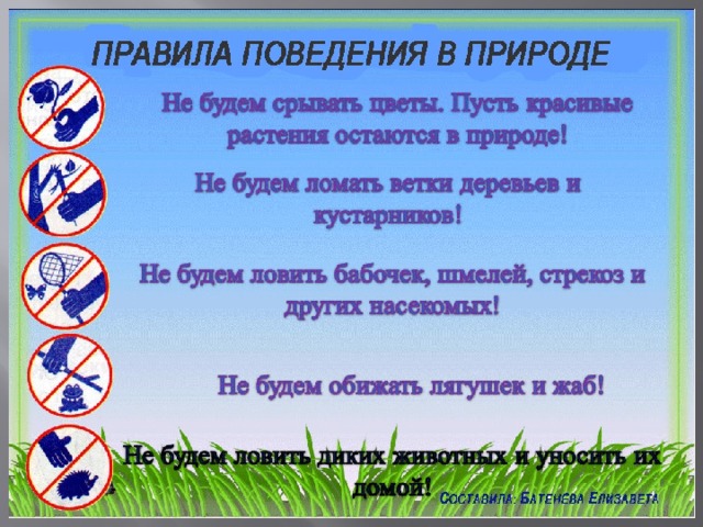 Памятка поведения в природе: Самое главное правило поведения в природе – это, мы не должны мешать жить животным. 