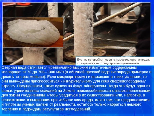 Бур, на который мгновенно намерзла озерная вода, хлынувшая вверх под огромным давлением. Озерная вода отличается чрезвычайно высоким избыточным содержанием кислорода: от 70 до 700–1300 мг/л (в обычной пресной воде кислорода примерно в десять–сто раз меньше). Если микроорганизмы и выживают в таких условиях, то они вынуждены приспособиться к изнурительному для себя сверхкислородному стрессу. Предположим, такие существа будут обнаружены. Тогда это будут одни из самых удивительных созданий на Земле, приспособившихся к весьма неполезным для жизни соединениям. Чтобы убедиться в их существовании или, напротив, в невозможности выживания при избытке кислорода, или в том, что предположения и гипотезы ученых далеки от реальности, осталось только набраться немного терпения и подождать результатов исследований. 