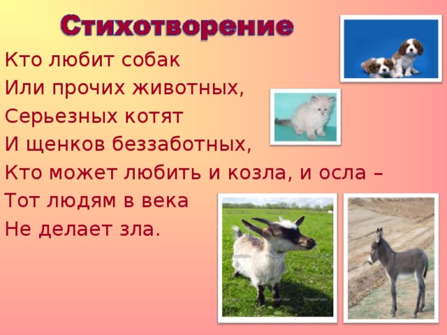 Кто любит собак Или прочих животных, Серьезных котят И щенков беззаботных, Кто может любить и козла, и осла – Тот людям в века Не делает зла.                                                                                                        