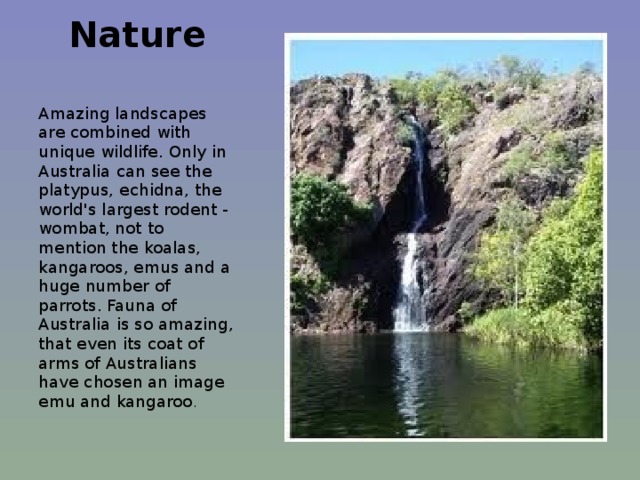 Nature   Amazing landscapes are combined with unique wildlife. Only in Australia can see the platypus, echidna, the world's largest rodent - wombat, not to mention the koalas, kangaroos, emus and a huge number of parrots. Fauna of Australia is so amazing, that even its coat of arms of Australians have chosen an image emu and kangaroo . 