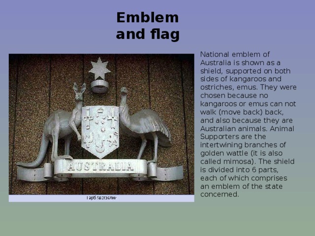 Emblem and flag   National emblem of Australia is shown as a shield, supported on both sides of kangaroos and ostriches, emus. They were chosen because no kangaroos or emus can not walk (move back) back, and also because they are Australian animals. Animal Supporters are the intertwining branches of golden wattle (it is also called mimosa). The shield is divided into 6 parts, each of which comprises an emblem of the state concerned.   
