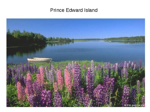 Prince Edward Island 