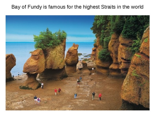  Bay of Fundy is famous for the highest Straits in the world 