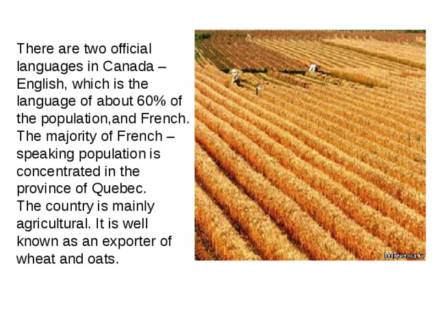 There are two official languages in Canada – English , which is the language of about 60% of the population , and French . The majority of French – speaking population is concentrated in the province of Quebec . The country is mainly agricultural . It is well known as an exporter of wheat and oats . 