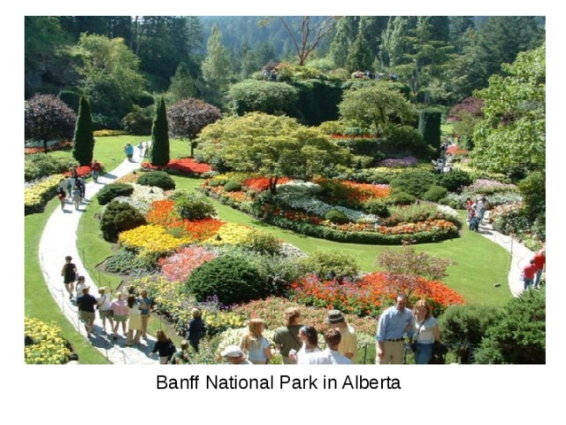 Banff National Park in Alberta 