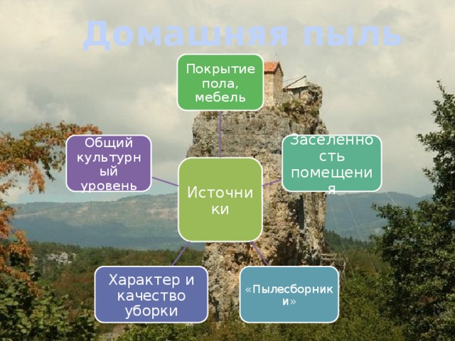 Домашняя пыль Покрытие пола, мебель Заселенность помещения Общий культурный уровень Источники «Пылесборники» Характер и качество уборки 
