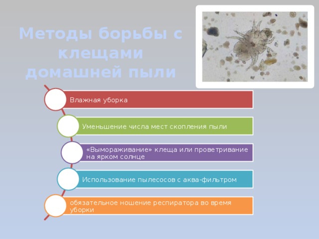Методы борьбы с клещами домашней пыли Влажная уборка Уменьшение числа мест скопления пыли «Вымораживание» клеща или проветривание на ярком солнце Использование пылесосов с аква-фильтром обязательное ношение респиратора во время уборки 