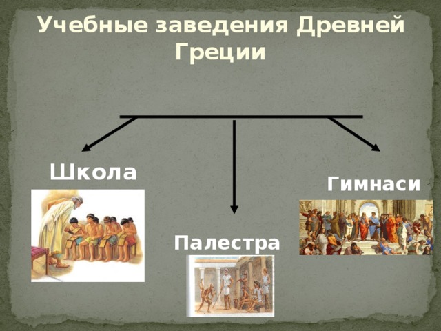 Учебные заведения Древней Греции Школа Гимнасий Палестра