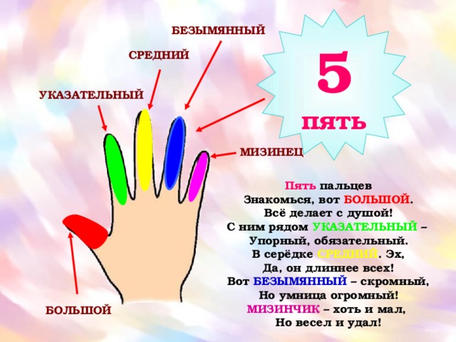 5 пять БЕЗЫМЯННЫЙ СРЕДНИЙ УКАЗАТЕЛЬНЫЙ МИЗИНЕЦ Пять пальцев  Знакомься, вот БОЛЬШОЙ .  Всё делает с душой!  С ним рядом УКАЗАТЕЛЬНЫЙ –  Упорный, обязательный.  В серёдке СРЕДНИЙ . Эх,  Да, он длиннее всех!  Вот БЕЗЫМЯННЫЙ – скромный,  Но умница огромный!  МИЗИНЧИК – хоть и мал,  Но весел и удал! БОЛЬШОЙ 