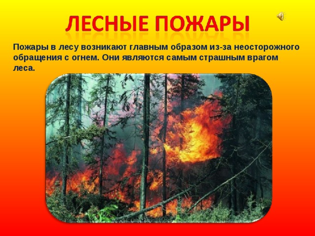 Пожары в лесу возникают главным образом из-за неосторожного обращения с огнем. Они являются самым страшным врагом леса. 
