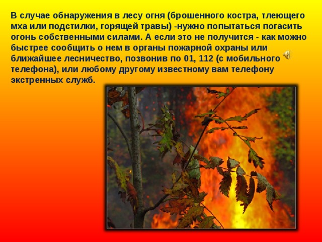 В случае обнаружения в лесу огня (брошенного костра, тлеющего мха или подстилки, горящей травы) -нужно попытаться погасить огонь собственными силами. А если это не получится - как можно быстрее сообщить о нем в органы пожарной охраны или ближайшее лесничество, позвонив по 01, 112 (с мобильного телефона), или любому другому известному вам телефону экстренных служб. 