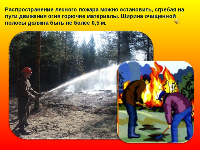 Распространение лесного пожара можно остановить, сгребая на пути движения огня горючие материалы. Ширина очищенной полосы должна быть не более 0,5 м. 