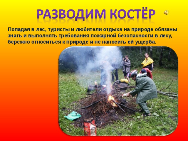 Попадая в лес, туристы и любители отдыха на природе обязаны знать и выполнять требования пожарной безопасности в лесу, бережно относиться к природе и не наносить ей ущерба. 