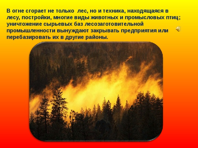 В огне сгорает не только лес, но и техника, находящаяся в лесу, постройки, многие виды животных и промысловых птиц; уничтожение сырьевых баз лесозаготовительной промышленности вынуждают закрывать предприятия или перебазировать их в другие районы. 