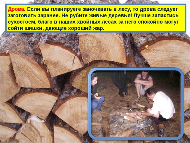 Дрова. Если вы планируете заночевать в лесу, то дрова следует заготовить заранее. Не рубите живые деревья! Лучше запастись сухостоем, благо в наших хвойных лесах за него спокойно могут сойти шишки, дающие хороший жар. 