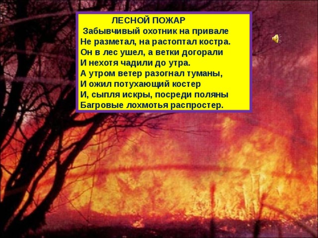  ЛЕСНОЙ ПОЖАР  Забывчивый охотник на привале Не разметал, на растоптал костра. Он в лес ушел, а ветки догорали И нехотя чадили до утра. А утром ветер разогнал туманы, И ожил потухающий костер И, сыпля искры, посреди поляны Багровые лохмотья распростер. 