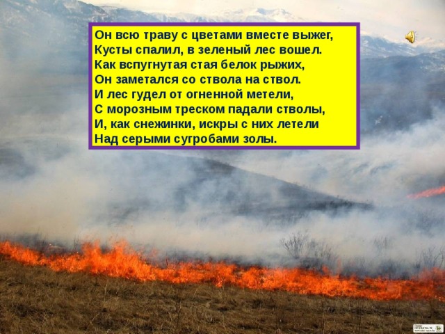 Он всю траву с цветами вместе выжег, Кусты спалил, в зеленый лес вошел. Как вспугнутая стая белок рыжих, Он заметался со ствола на ствол. И лес гудел от огненной метели, С морозным треском падали стволы, И, как снежинки, искры с них летели Над серыми сугробами золы. 
