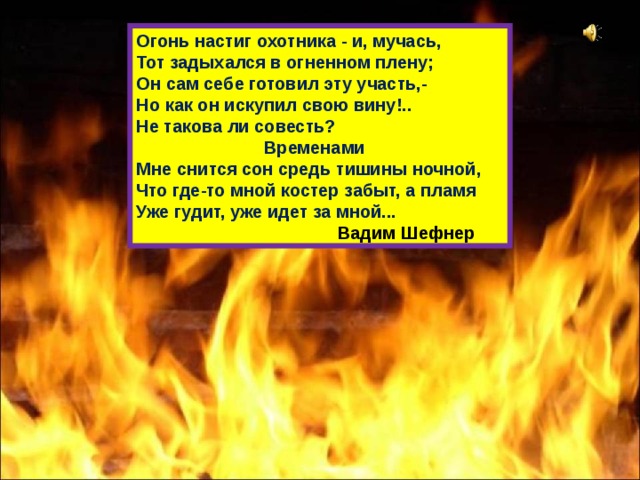 Огонь настиг охотника - и, мучась, Тот задыхался в огненном плену; Он сам себе готовил эту участь,- Но как он искупил свою вину!.. Не такова ли совесть?  Временами Мне снится сон средь тишины ночной, Что где-то мной костер забыт, а пламя Уже гудит, уже идет за мной...  Вадим Шефнер 