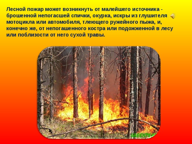 Лесной пожар может возникнуть от малейшего источника - брошенной непогасшей спички, окурка, искры из глушителя мотоцикла или автомобиля, тлеющего ружейного пыжа, и, конечно же, от непогашенного костра или подожженной в лесу или поблизости от него сухой травы. 