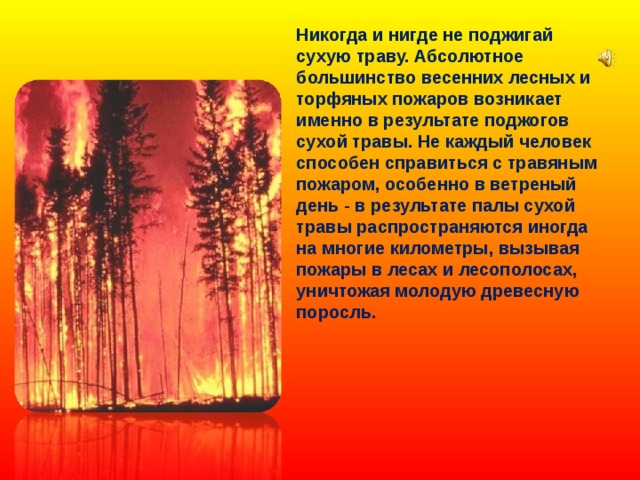 Никогда и нигде не поджигай сухую траву. Абсолютное большинство весенних лесных и торфяных пожаров возникает именно в результате поджогов сухой травы. Не каждый человек способен справиться с травяным пожаром, особенно в ветреный день - в результате палы сухой травы распространяются иногда на многие километры, вызывая пожары в лесах и лесополосах, уничтожая молодую древесную поросль.   