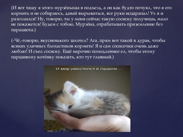 (И вот тащу я этого мурзёныша в подъезд, а он как будто почуял, что я его кормить и не собираюсь, давай вырываться, все руки исцарапал! Ух я и разозлился! Ну, говорю, ты у меня сейчас такую сосиску получишь, мало не покажется! Будем с тобою, Мурзёна, отрабатывать приземление без парашюта.) (-Чё,-говорю, вкусненького захотел? Ага, прям вот такой я дурак, чтобы всяких уличных блохастиков кормить! Я и сам сосисечки очень даже люблю! И съел сосиску. Ещё нарочно помедленнее ел, чтобы этому паршивому котёнку показать, кто тут главный.) 