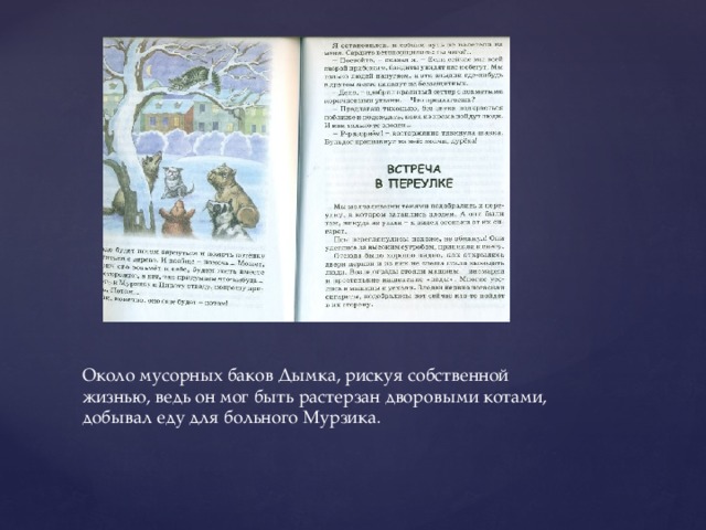 Около мусорных баков Дымка, рискуя собственной жизнью, ведь он мог быть растерзан дворовыми котами, добывал еду для больного Мурзика. 