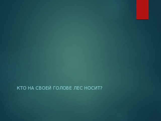 Кто на своей голове лес носит? 