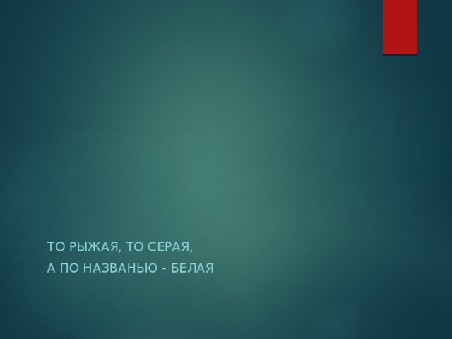 То рыжая, то серая, А по названью - белая 