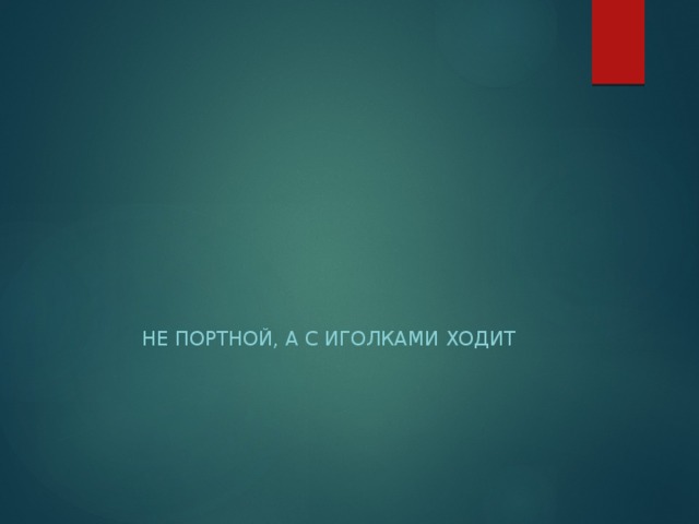 Не портной, а с иголками ходит 