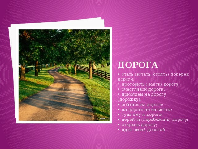 ДОРОГА • стать (встать, стоять) поперек дороги;   • проторить (найти) дорогу;   • счастливой дороги;   • присядем на дорогу (дорожку);   • сойтись на дороге;   • на дороге не валяется;   • туда ему и дорога;   • перейти (перебежать) дорогу;   • открыть дорогу;   • идти своей дорогой 
