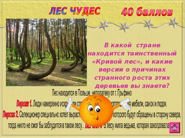 В какой стране находится таинственный «Кривой лес», и какие версии о причинах странного роста этих деревьев вы знаете? 