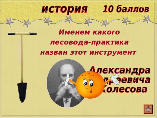 Именем какого лесовода-практика назван этот инструмент 