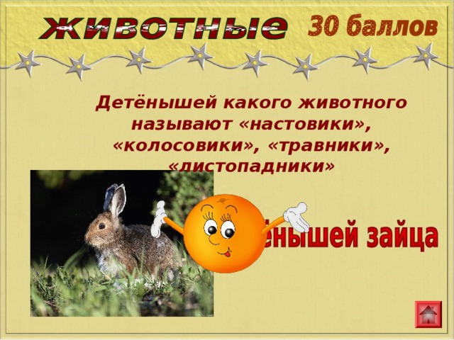 Детёнышей какого животного называют «настовики», «колосовики», «травники», «листопадники» 