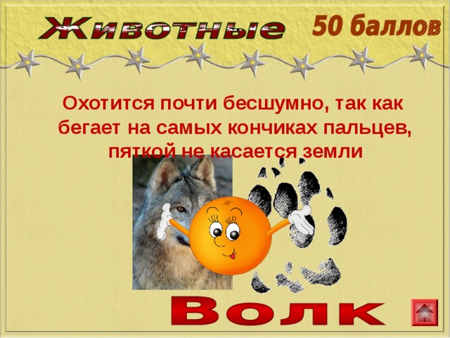  Охотится почти бесшумно, так как   бегает на самых кончиках пальцев, пяткой не касается земли 