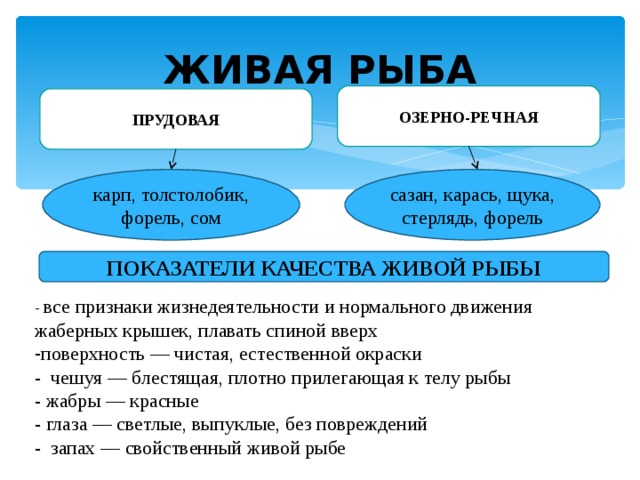 ЖИВАЯ РЫБА ОЗЕРНО-РЕЧНАЯ ПРУДОВАЯ карп, толстолобик, форель, сом сазан, карась, щука, стерлядь, форель ПОКАЗАТЕЛИ КАЧЕСТВА ЖИВОЙ РЫБЫ - все признаки жизнедеятельности и нормального движения жаберных крышек, плавать спиной вверх поверхность — чистая, естественной окраски - чешуя — блестящая, плотно прилегающая к телу рыбы - жабры — красные - глаза — светлые, выпуклые, без повреждений - запах — свойственный живой рыбе 