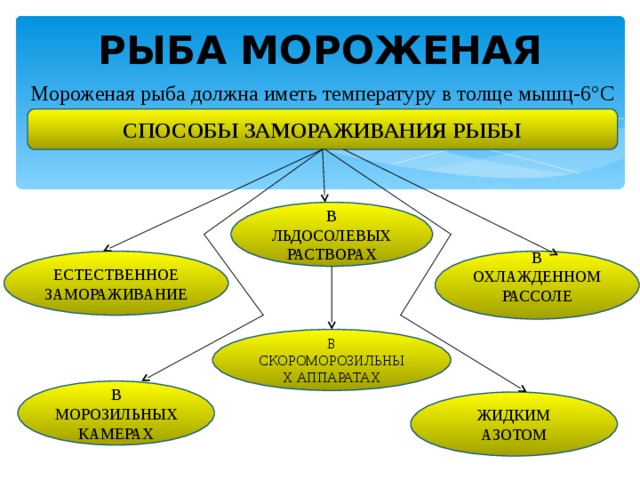 РЫБА МОРОЖЕНАЯ Мороженая рыба должна иметь температуру в толще мышц-6°С СПОСОБЫ ЗАМОРАЖИВАНИЯ РЫБЫ В ЛЬДОСОЛЕВЫХ РАСТВОРАХ В ОХЛАЖДЕННОМ РАССОЛЕ ЕСТЕСТВЕННОЕ ЗАМОРАЖИВАНИЕ В СКОРОМОРОЗИЛЬНЫХ АППАРАТАХ В МОРОЗИЛЬНЫХ КАМЕРАХ ЖИДКИМ АЗОТОМ 