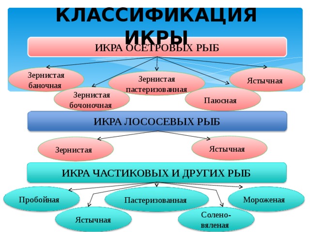 КЛАССИФИКАЦИЯ ИКРЫ ИКРА ОСЕТРОВЫХ РЫБ Ястычная   Зернистая баночная  Зернистая пастеризованная  Паюсная   Зернистая бочоночная  ИКРА ЛОСОСЕВЫХ РЫБ Ястычная  Зернистая  ИКРА ЧАСТИКОВЫХ И ДРУГИХ РЫБ Пробойная  Мороженая  Пастеризованная Солено-вяленая  Ястычная 