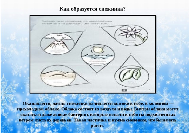 Как образуется снежинка?  Оказывается, жизнь снежинки начинается высоко в небе, в холодном — прехолодном облаке. Облака состоят из воздуха и воды. Внутри облака могут оказаться даже живые бактерии, которые попали в небо на подхваченных ветром листьях деревьев. Такая частичка и нужна снежинке, чтобы начать расти. 