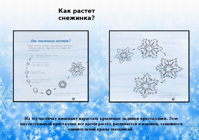 Как растет снежинка? На эту частичку начинают нарастать крохотные льдинки-кристаллики. Этот шестиугольный кристаллик все время растет, развивается и наконец, становится удивительной красы звездочкой. 