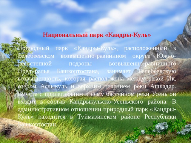 Национальный парк «Кандры-Куль» Природный парк «Кандры-Куль», расположенный в Белебеевском возвышенно-равнинном округе Южно-лесостепной подзоны возвышенно-равнинного Предуралья Башкортостана, занимает Белебеевскую возвышенность, которая расположена между рекой Ик, озером Аслыкуль и верхним течением реки Ашкадар. Вместе с прилегающим к нему бассейном реки Усень он входит в состав Кандрыкульско-Усеньского района. В административном отношении природный парк «Кандры-Куль» находится в Туймазинском районе Республики Башкортостан 