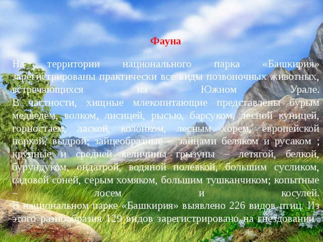 Фауна  На территории национального парка «Башкирия» зарегистрированы практически все виды позвоночных животных, встречающихся на Южном Урале.  В частности, хищные млекопитающие представлены бурым медведем, волком, лисицей, рысью, барсуком, лесной куницей, горностаем, лаской, колонком, лесным хорем, европейской норкой, выдрой; зайцеобразные – зайцами беляком и русаком ; крупные и средней величины грызуны – летягой, белкой, бурундуком, ондатрой, водяной полевкой, большим сусликом, садовой соней, серым хомяком, большим тушканчиком; копытные – лосем и косулей.  В национальном парке «Башкирия» выявлено 226 видов птиц. Из этого разнообразия 129 видов зарегистрировано на гнездовании .    . 